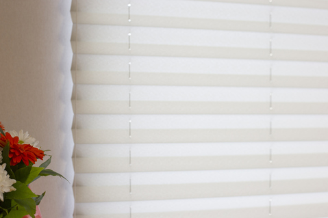 Pleated Blinds
