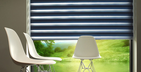 Vision Blinds
