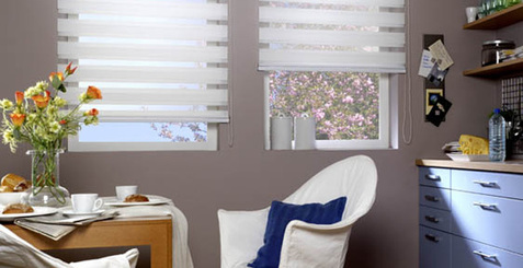 Vision Blinds