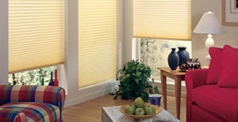 Pleated Blinds