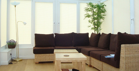 Pleated Blinds