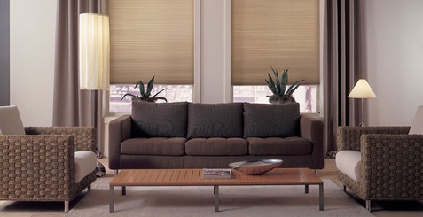 Pleated Blinds